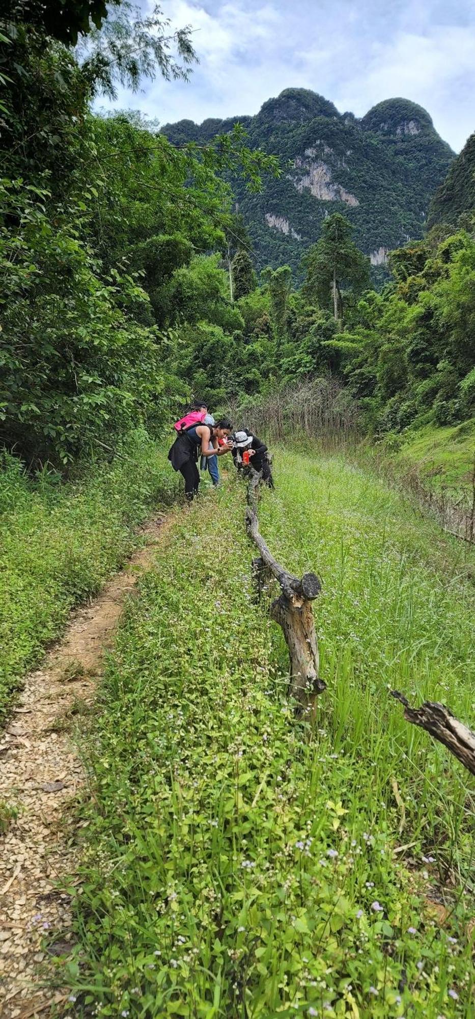 Bed and Breakfast Khaosok Happy House Khao Sok National Park Exterior foto